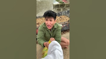 Cậu bé tốt bụng giúp người anh ăn xin |Tippi Tv #tippitv