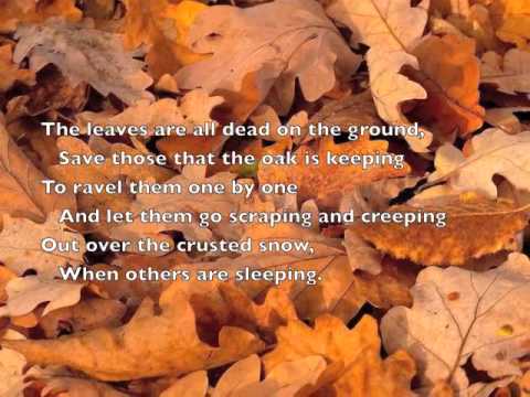Liebesleid Loves Sorrow Theme Liebesleid Loves Sorrow Theme