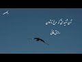 Persian Poetry آن شنیدستی که مرغ نا توان دکلمه شعر رازق فانی Persian Poetry آن شنیدستی که مرغ نا توان دکلمه شعر رازق فانی
