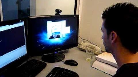 Flare3D   T Immersion for Adobe Face