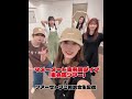 【豆柴の大群】今週の豆tubeは〜？「マメーメード東名阪ダイブ」セトリご相談会🗣️💭🐾 #豆tube #豆柴の大群