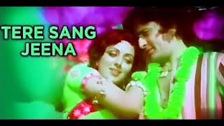 Tere Sangh Jina Tere Sang Marna 4k Bolly Jhankar Remix Song