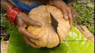 Grandma Making Pumpkin Halwa | Gummadikaya Halva | FOOD &amp; TRAVEL TV