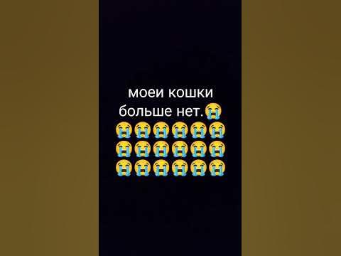 последние дни мои с кошкои она лучшая была на свете.😭😭😭 - YouTube