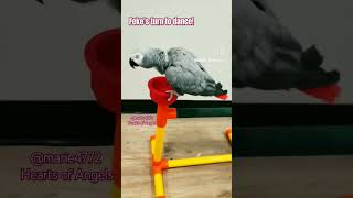 She Has All The Funky Moves