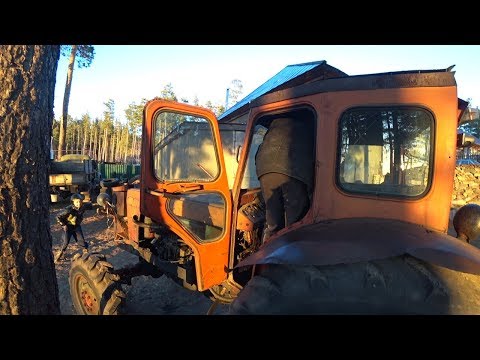 Хорошея и плохая