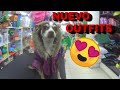 😍 Comprando ropa  para mi perrita , nuevo outfits para perros😍