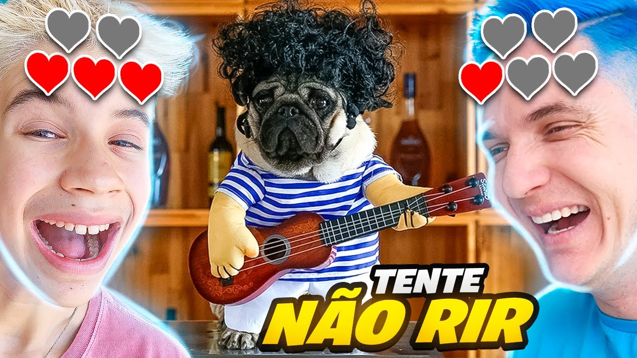 Tente Não RIR e Perder Corações com Animais Engraçados😂