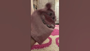 Perfect loop??? #loop #satisfyingloop #filter #endlessloop