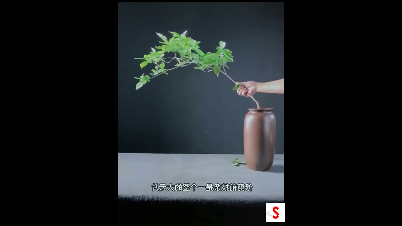 Hướng dẫn cắm hoa nghệ thuật, đơn giản và rất đẹp