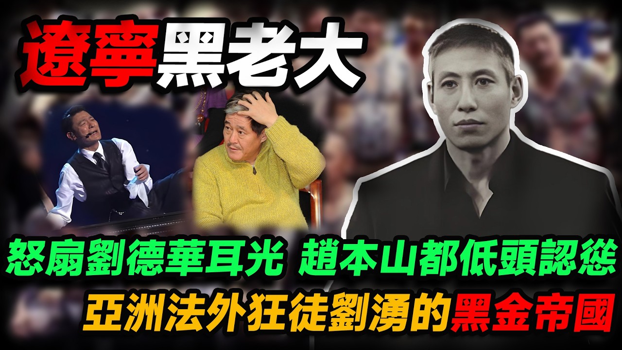 震驚全國!一巴掌扇翻劉德華,趙本山、任達華都得低頭認慫說好話,打的就是天王!揭秘遼寧黑老大劉湧的黑金帝國。#人物志 #社會 #腐敗 #貪污 ...
