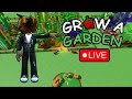 🔴 LIVE GROW A GARDEN 🔴GRINDING SUMMER HARVEST ☀
