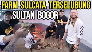 GREBEK SULTAN BOGOR PUNYA FARM SULCATA TERSELUBUNG DI DALAM RUMAH !!! TEMPATNYA LUAS BANGET!!