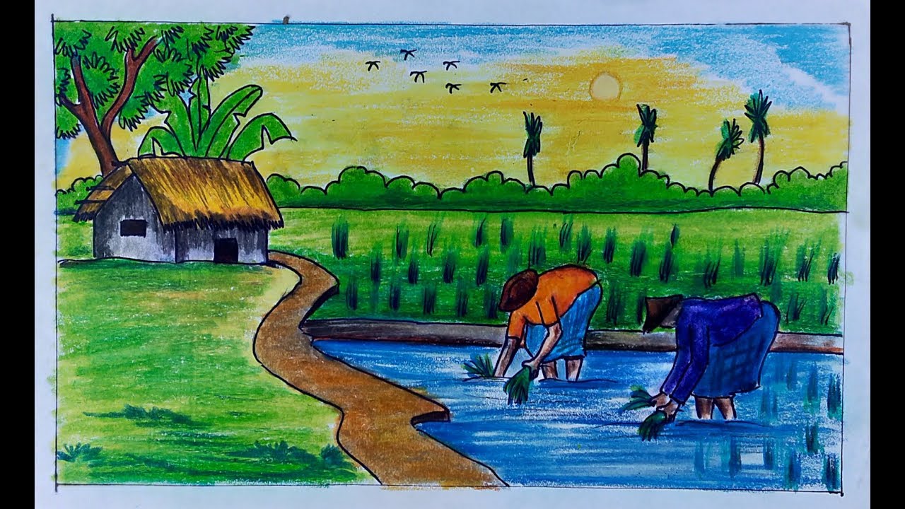 Rice plantation scenery drawing / Step by step rice plantation scenery ...