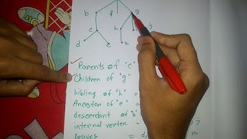 discrete mathematics, trees part 1