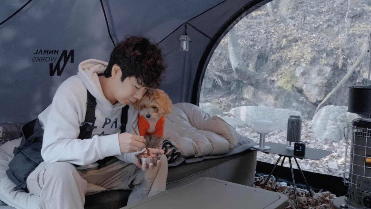 🍂 Листья падают как снег — Осенний лесной кемпинг с собакой ⛺🐶