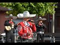 Ay Jalisco no te rajes - Mariachi Internacional Barcelona - Mariachis en Barcelona