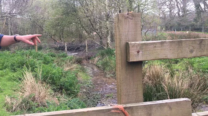 Beavers 101 - reintroducing beavers for flood management