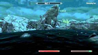 Where To Find Dragonflies - Skyrim