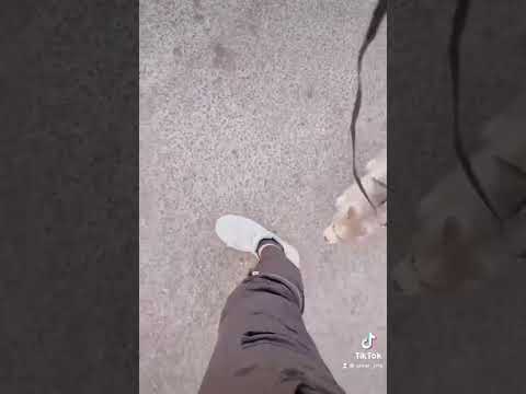 لو فينا نهرب ونطير مع هالورق الطاير تا نكبر بعد بكير شو صاير شو صاير