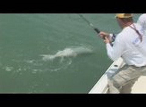 florida fishing couple Sanibel Tarpon Tango! Florida Tarpon Fishing Trips Charters