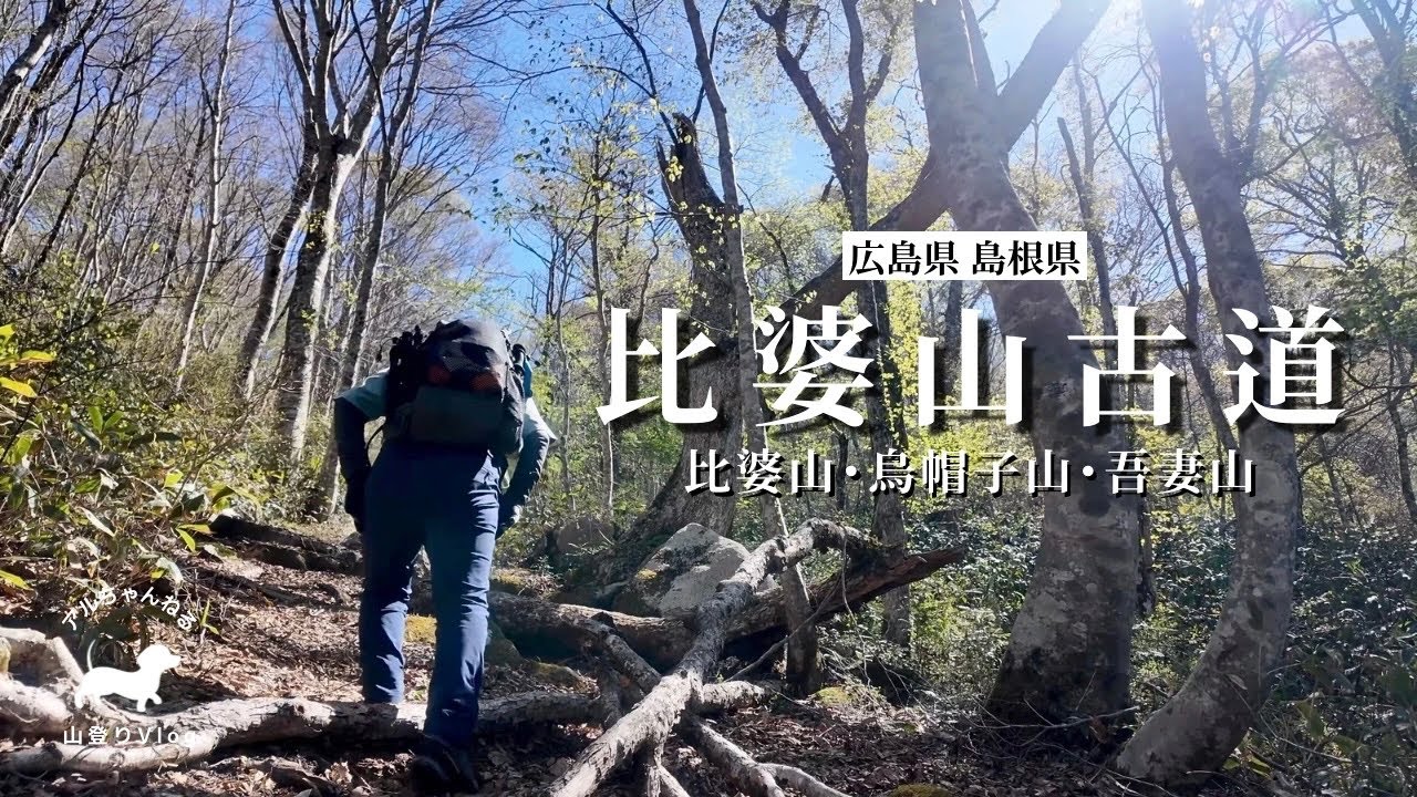 【比婆山古道】新緑縦走！イザナミの眠る御陵へ古道で参ります【比婆山・烏帽子山・吾妻山】広島県・島根県