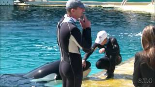 Video Thumbnail for Marineland Antibes 2015 Raw Footage