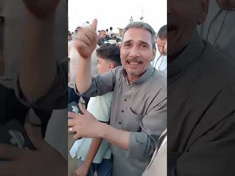 شوف علف ابو ربيع بيطلع لحم عامل ازاي في سوق دمنهور