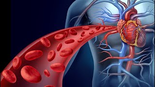 “Blood Coagulation: Mechanism, Factors, and Clinical Significance”