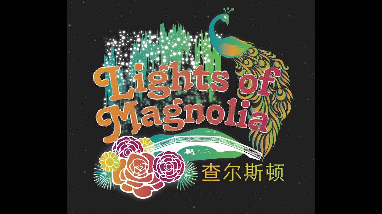 Lights of Magnolia Discount Code - wide 10