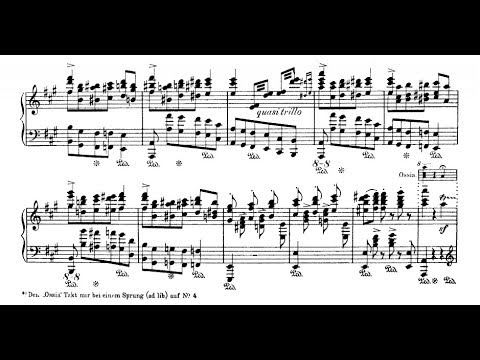 アート・デザイン・音楽 L.GODOWSKY/Educational Adaptations アート・デザイン・音楽 L.GODOWSKY/Educational Adaptations L