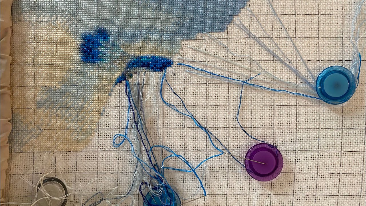 Cross Stitch: Stitch With Me 