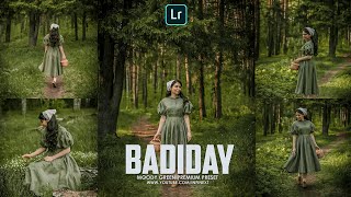 Badiday Inspired Preset - Lr Photo Editing - Adobe Light room presets screenshot 2