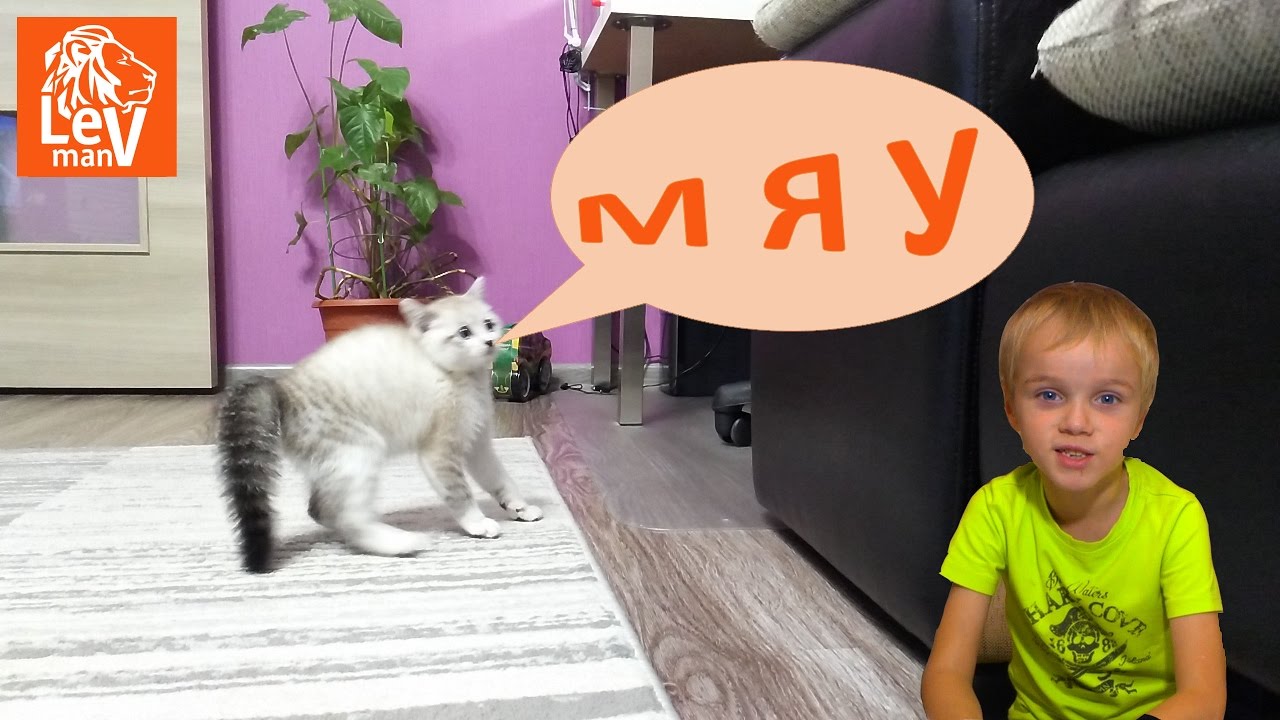 🐈VLOG (Со звуком!!!) У 