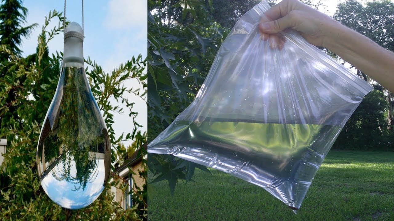 COMO ESPANTAR MOSCAS DENTRO DE FORA DE CASA RECEITA CASEIRA YouTube