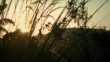 Glimpse of countryside |A Cinematic Short |MotionCam Pro Trial Challange