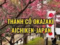 Tham quan Thành Cổ Okazaki-Aichiken-Japan