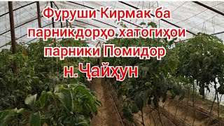 картинка: Хариди кирмак барои парники помидор 