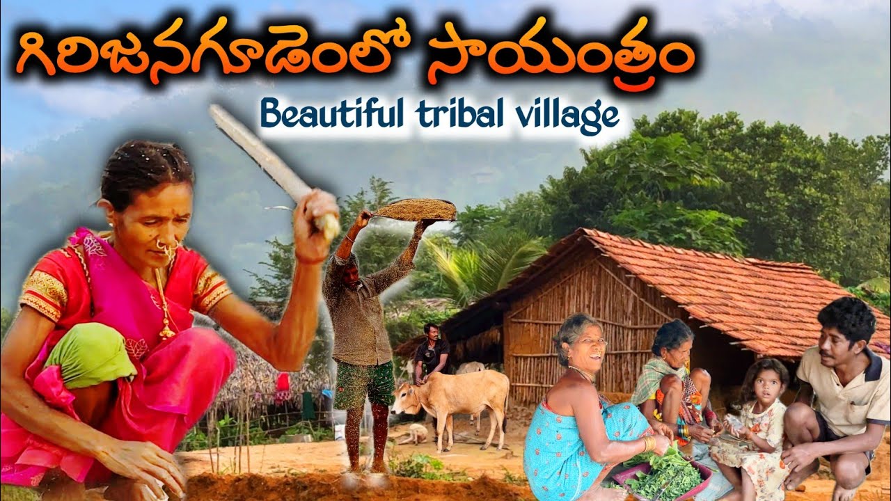 సాయంత్రంఐతే ఈ గిరిజనగ్రామం ఎలాఉంటుందో తెలుసా! Beauty of tribal village @TribalMirror