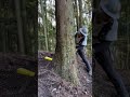 Lumberjack Skunk 伐倒 皆伐現場