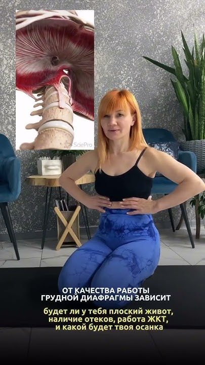 Грудная диафрагма — это ключевая мышца в дыхательном процессе # ...