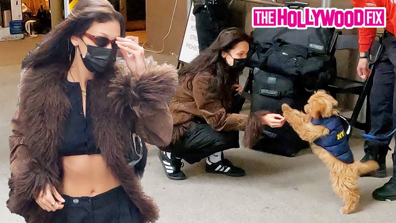 Bella Hadid Stops To Play With A Puppy Dressed Up As An NYPD K9 Unit While Out In New York 4.18.21