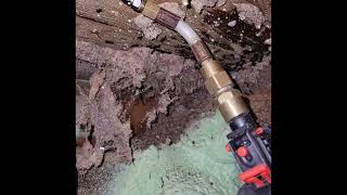 Carpenter Ant Nest Treatment