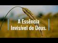 A ESSÊNCIA INVISÍVEL DE DEUS - MEDITAÇÃO DIÁRIA