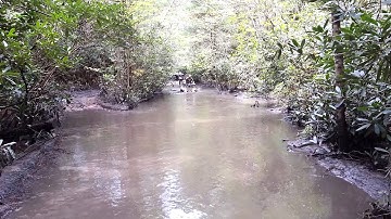 650 Outlander Max Mud w/ 28" Mega Mayhems