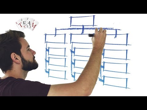 Organisasi: Jenis & Struktur