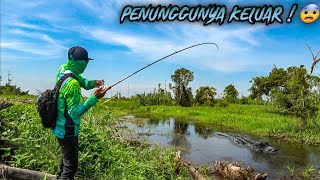 DETIK2 BUAYA BESAR MUNCUL SETELAH SAYA DAPAT IKAN2 BESAR !!! 😱😱😱