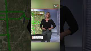 Global Calgary Reporter Claps Back At Body-Shaming Email During Live Broadcast