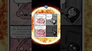 Dendrites Release Neurotransmitters  Neurosciences Memes shorts