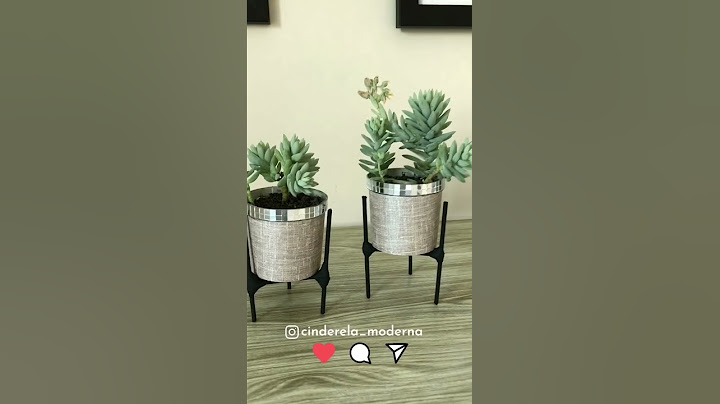 DIY: como fazer vaso de planta com palito de churrasco e embalagem vazia | Reciclagem criativa